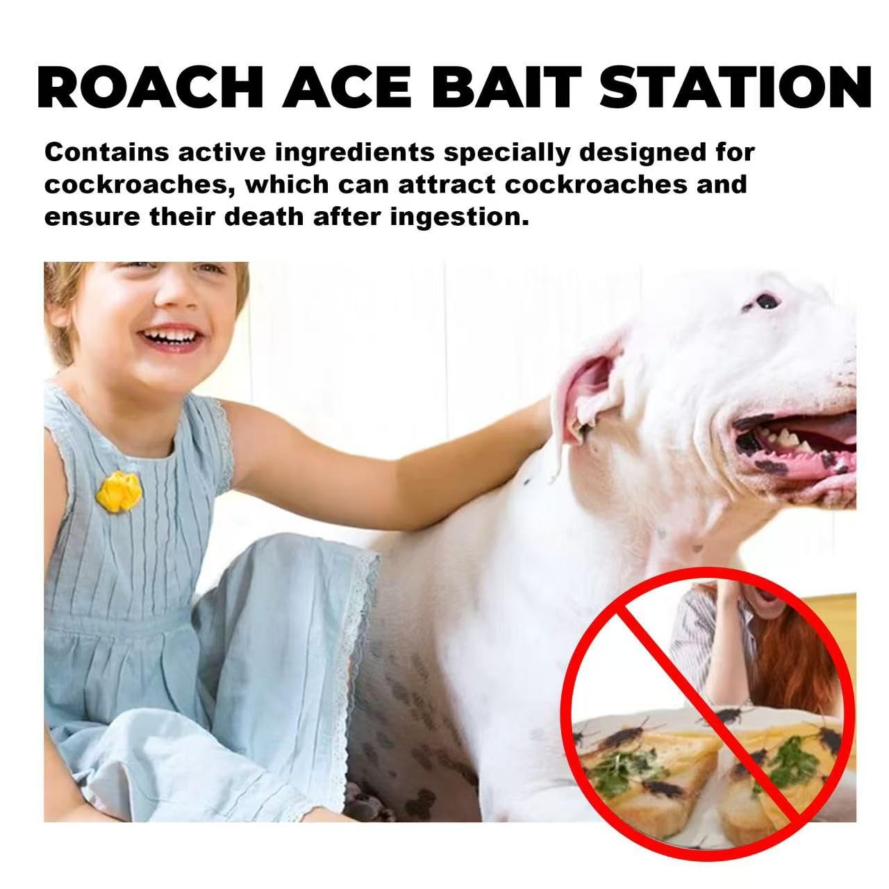 CockRoach Trap Killer.