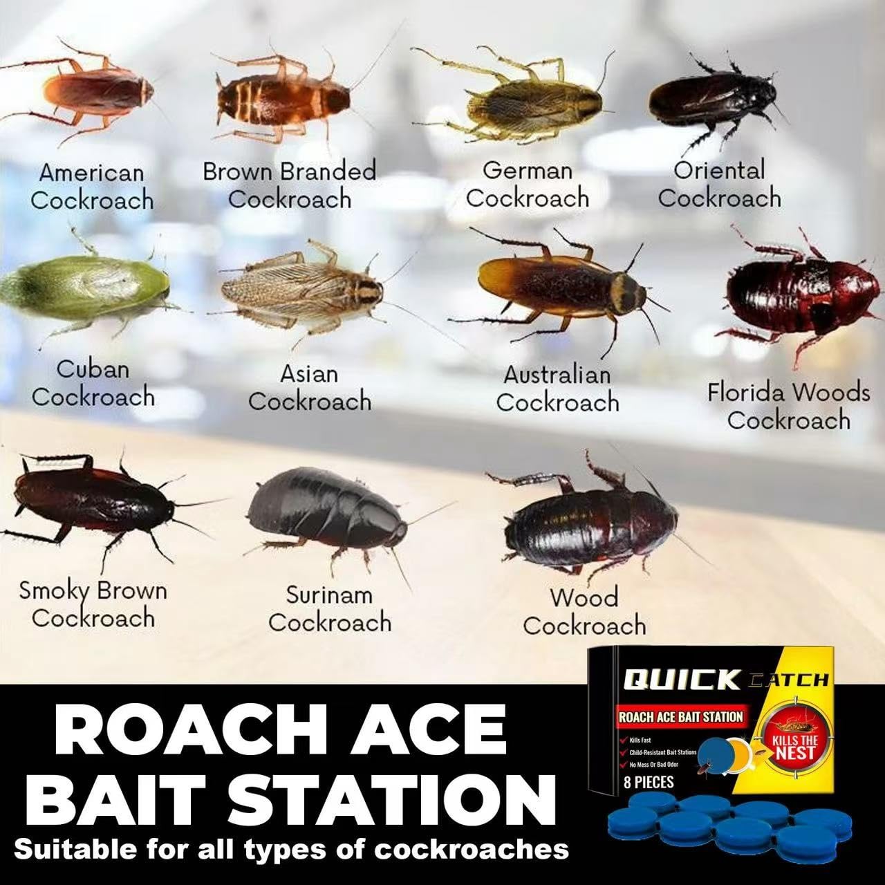 CockRoach Trap Killer.