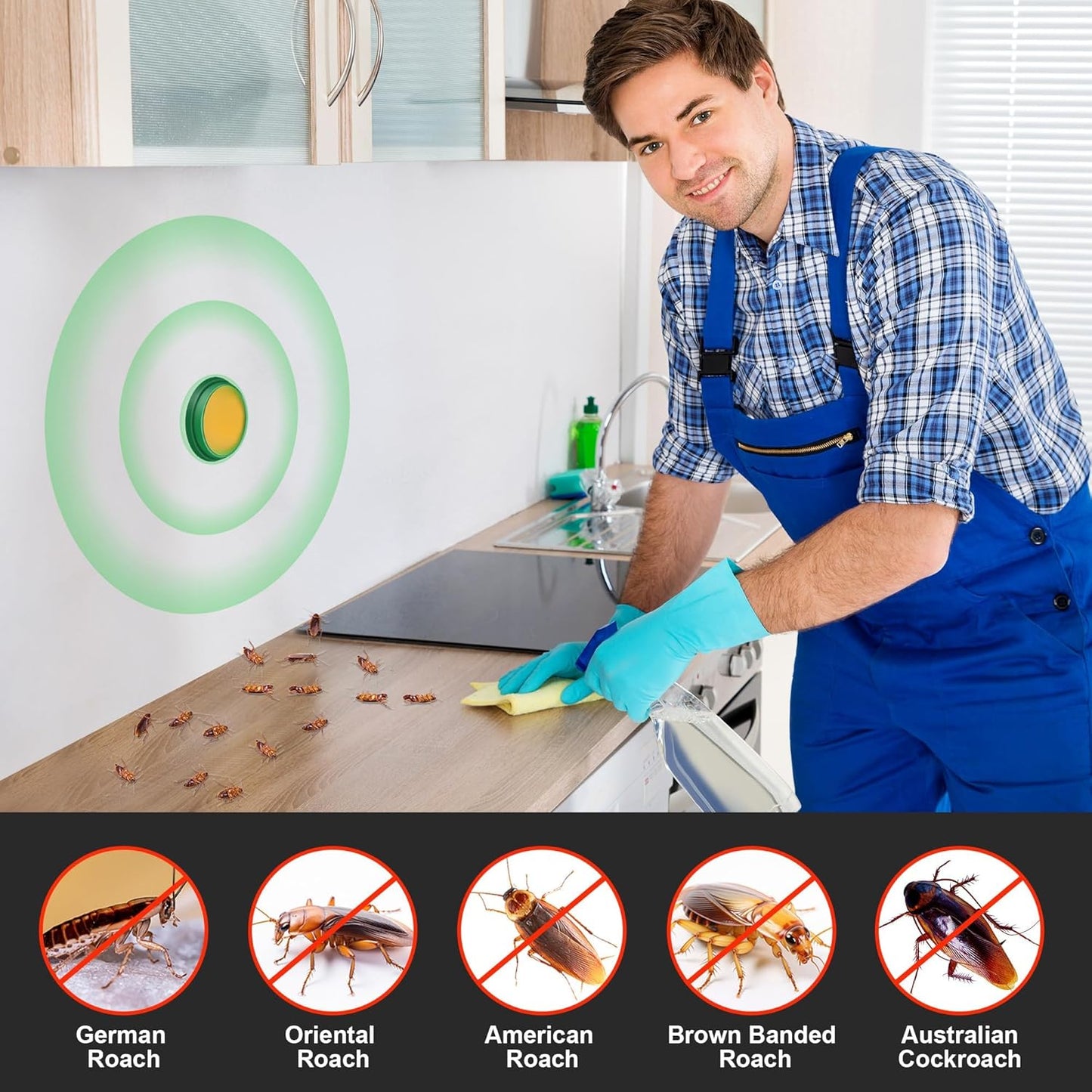 CockRoach Trap Killer.