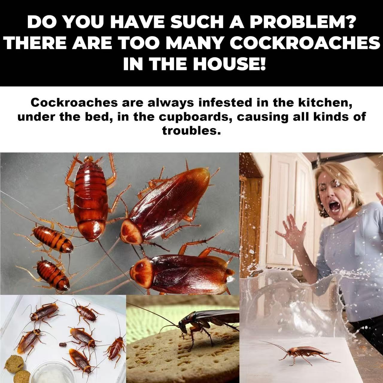CockRoach Trap Killer.